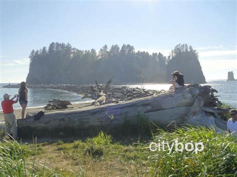 10 Best Things To Do At La Push Wa Citybop 10 Best Things To Do At La Push Wa Citybop