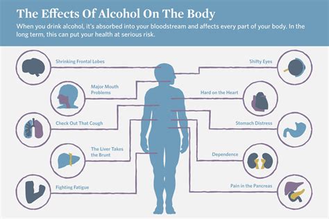 10 Effects Of Alcohol On The Body Mountainside Treatment Center 10 Effects Of Alcohol On The Body Mountainside Treatment Center