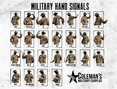 10 Essential Military Letter Call Signs Revealed 10 Essential Military Letter Call Signs Revealed