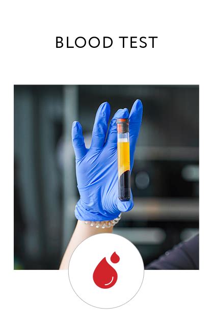 10X Health System Gene Testing Blood Testing Superhuman Protocol 10X Health System Gene Testing Blood Testing Superhuman Protocol