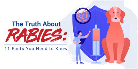11 Things You Need To Know About Rabies 11 Things You Need To Know About Rabies