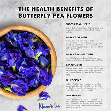 17 Incredible Blue Butterfly Pea Flower Tea Health Benefits Teafame 17 Incredible Blue Butterfly Pea Flower Tea Health Benefits Teafame