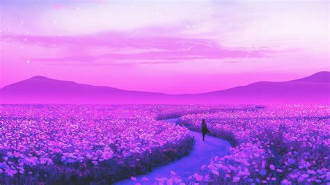 1920X1080 Day Dreaming Lavender Field 4K Laptop Full Hd 1080P Hd 4K 1920X1080 Day Dreaming Lavender Field 4K Laptop Full Hd 1080P Hd 4K