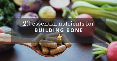20 Key Bone Building Nutrients For Building Strong Bones Better Bones 20 Key Bone Building Nutrients For Building Strong Bones Better Bones