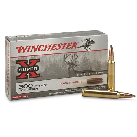 300 Win Mag Ammo