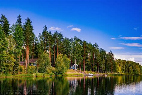5 Ways To A Healthy Shoreline Love Your Lake