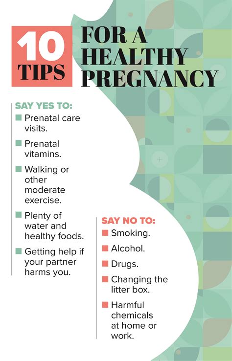 7 Tips For A Healthy Pregnancy 7 Tips For A Healthy Pregnancy