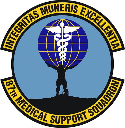 87Th Medical Support Squadron 87 Mdss 87Th Medical Support Squadron 87 Mdss