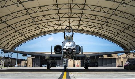 A 10C Warthog Retired To 309 Amarg After 14 125 Flight Hours And After A 10C Warthog Retired To 309 Amarg After 14 125 Flight Hours And After