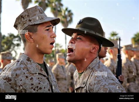 A Us Marine Corps Drill Instructor Screams At A Marine Recruit During A Us Marine Corps Drill Instructor Screams At A Marine Recruit During