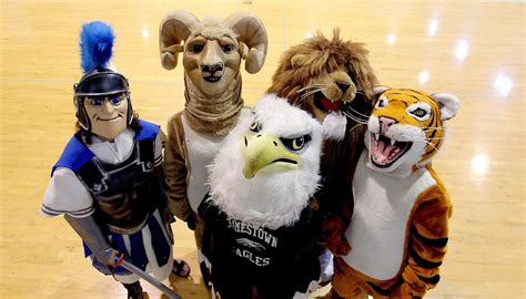 Academy Mascot Academy Mascot