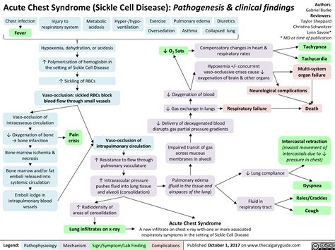 Acute Chest Syndrome Sickle Cell Disease Calgary Guide Acute Chest Syndrome Sickle Cell Disease Calgary Guide