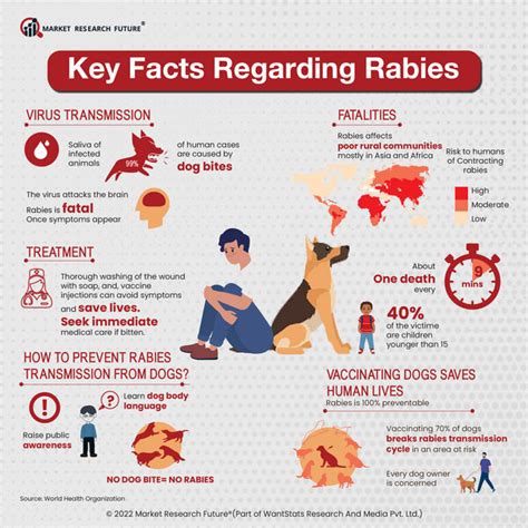5 Rabies Vaccine Side Effects