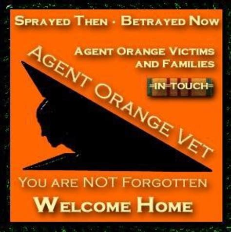 Agent Orange The Curse On My Body Hubpages