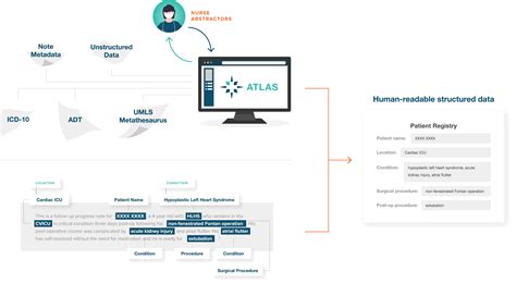 Ai Powered Data Abstraction For Clinical Registries Carta Healthcare