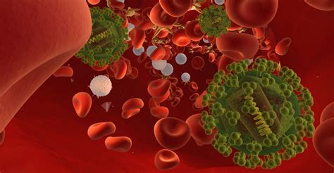 5 AIDS Facts