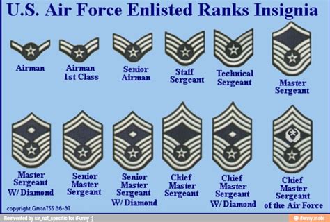Air Force Rank Insignia Vrogue Co Air Force Rank Insignia Vrogue Co