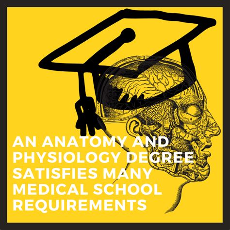 Anatomy Physiology Degree Best Schools Major Programs