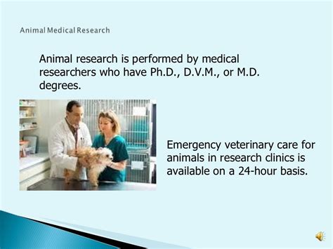 Animal Medical Research Presentation Ppt Animal Medical Research Presentation Ppt
