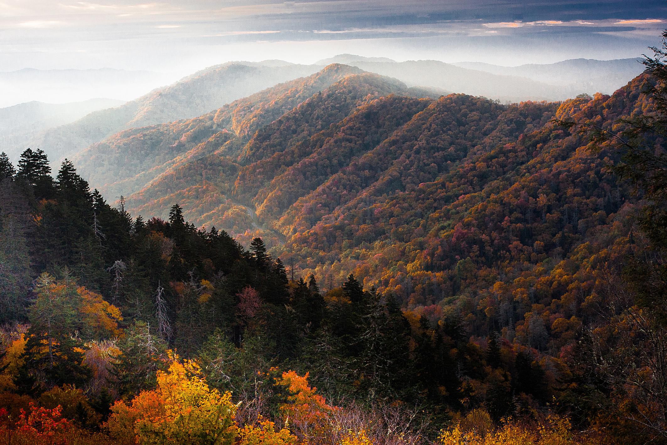 Appalachian Regional Healthcare Releases Names Of 2018 Arh Scholars Award Winners Arh Careers Appalachian Regional Healthcare Releases Names Of 2018 Arh Scholars Award Winners Arh Careers