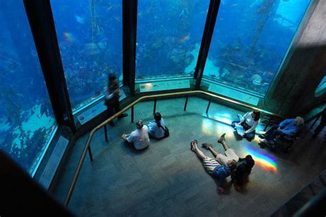 Aquariums Are So Fun Underwater Room Mystic Seaport Ocean Aquarium Aquariums Are So Fun Underwater Room Mystic Seaport Ocean Aquarium