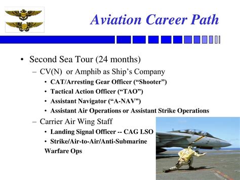 Army Aviation Officer Career Path Top Defense Systems Army Aviation Officer Career Path Top Defense Systems