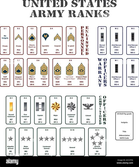 Army Officer Ranks Explained Vrogue Co Army Officer Ranks Explained Vrogue Co