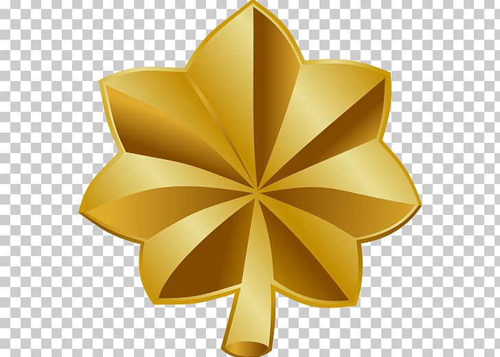 Army Rank Officer Insignia