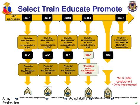 Army Step Program 2024
