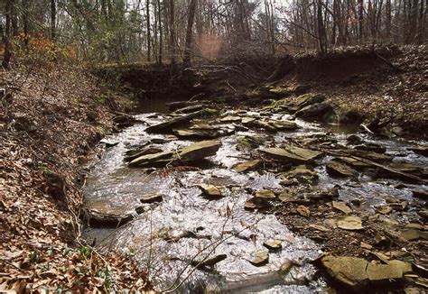 5 Ways Auburn Creek