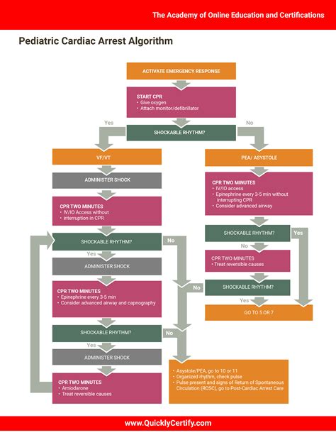 Basic Life Support Algorithms The Institute Of Continuing Healthcare Basic Life Support Algorithms The Institute Of Continuing Healthcare