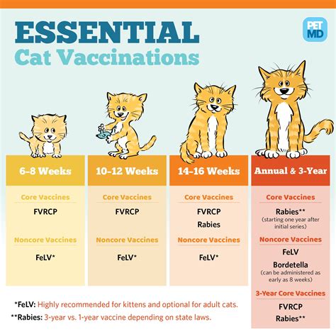 Basic Vaccine Schedule For Dogs Petmd Basic Vaccine Schedule For Dogs Petmd