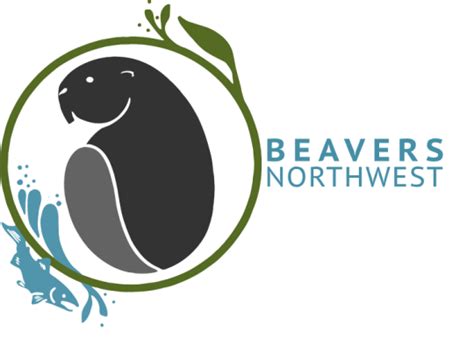 5 Beaver Facts Northwest