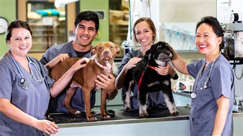 Becoming A Veterinary Technician Veterinary Technician