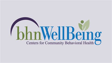 Behavior Health Network Inc