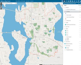 5 Bellevue GIS Tips