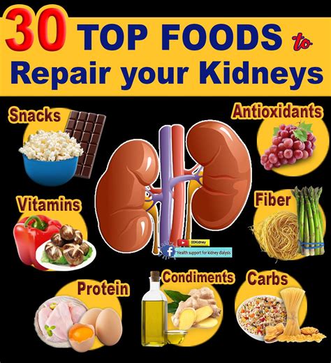 Best Book For Kidney Health 2024