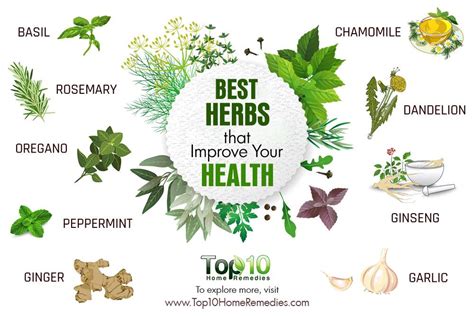 Best Herbal Best Herbal
