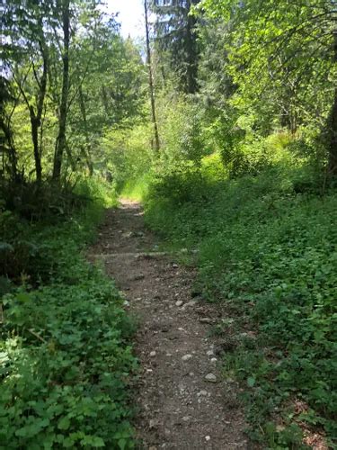 Best Hikes And Trails In Taylor Mountain Forest Alltrails Best Hikes And Trails In Taylor Mountain Forest Alltrails