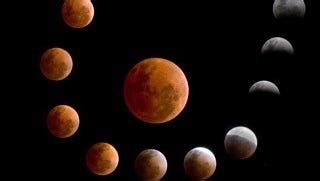 Best Places To View The Eclipse In Georgia Athens Spot Makes Top 5 Best Places To View The Eclipse In Georgia Athens Spot Makes Top 5