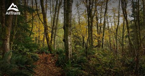 Best Trails Near Bellevue Washington Alltrails Best Trails Near Bellevue Washington Alltrails