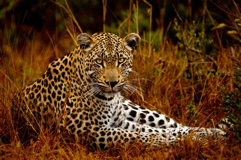 5 Best Wild Adventures