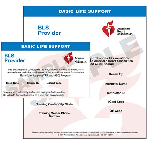 Bls For Healthcare Providers Bls For Healthcare Providers Course And Bls For Healthcare Providers Bls For Healthcare Providers Course And