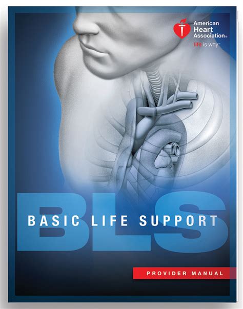 Bls For Healthcare Providers Classroom The Cpr Hero Training Center Bls For Healthcare Providers Classroom The Cpr Hero Training Center