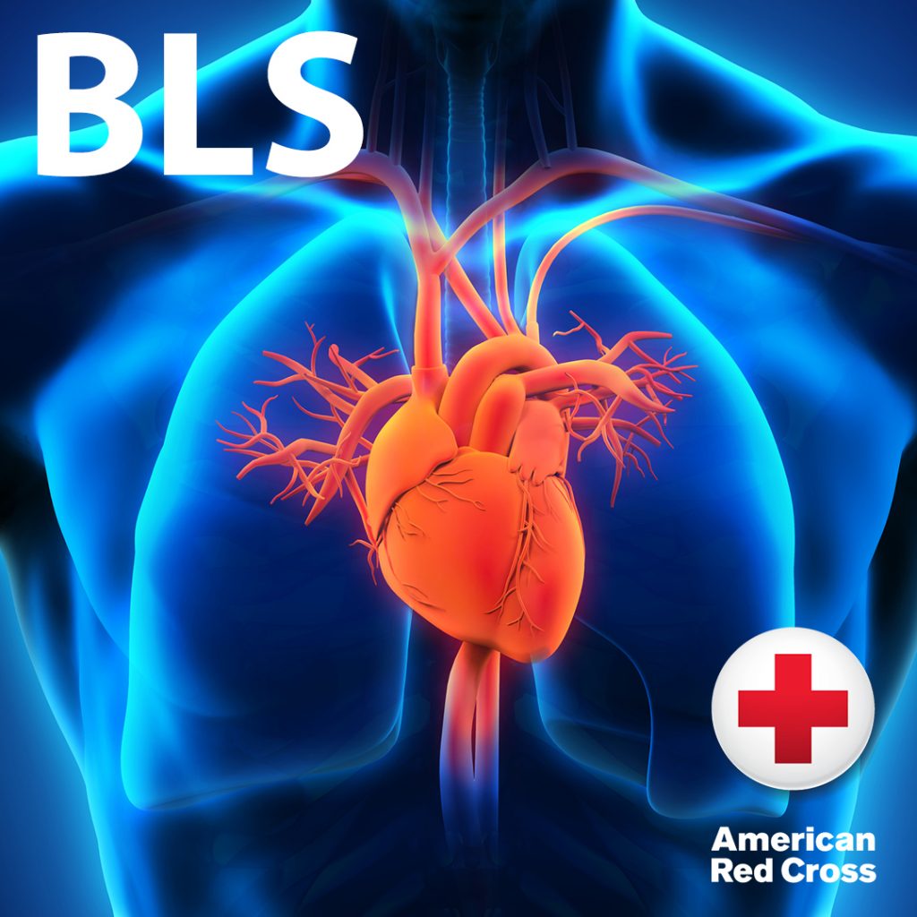 Bls For The Healthcare Professional