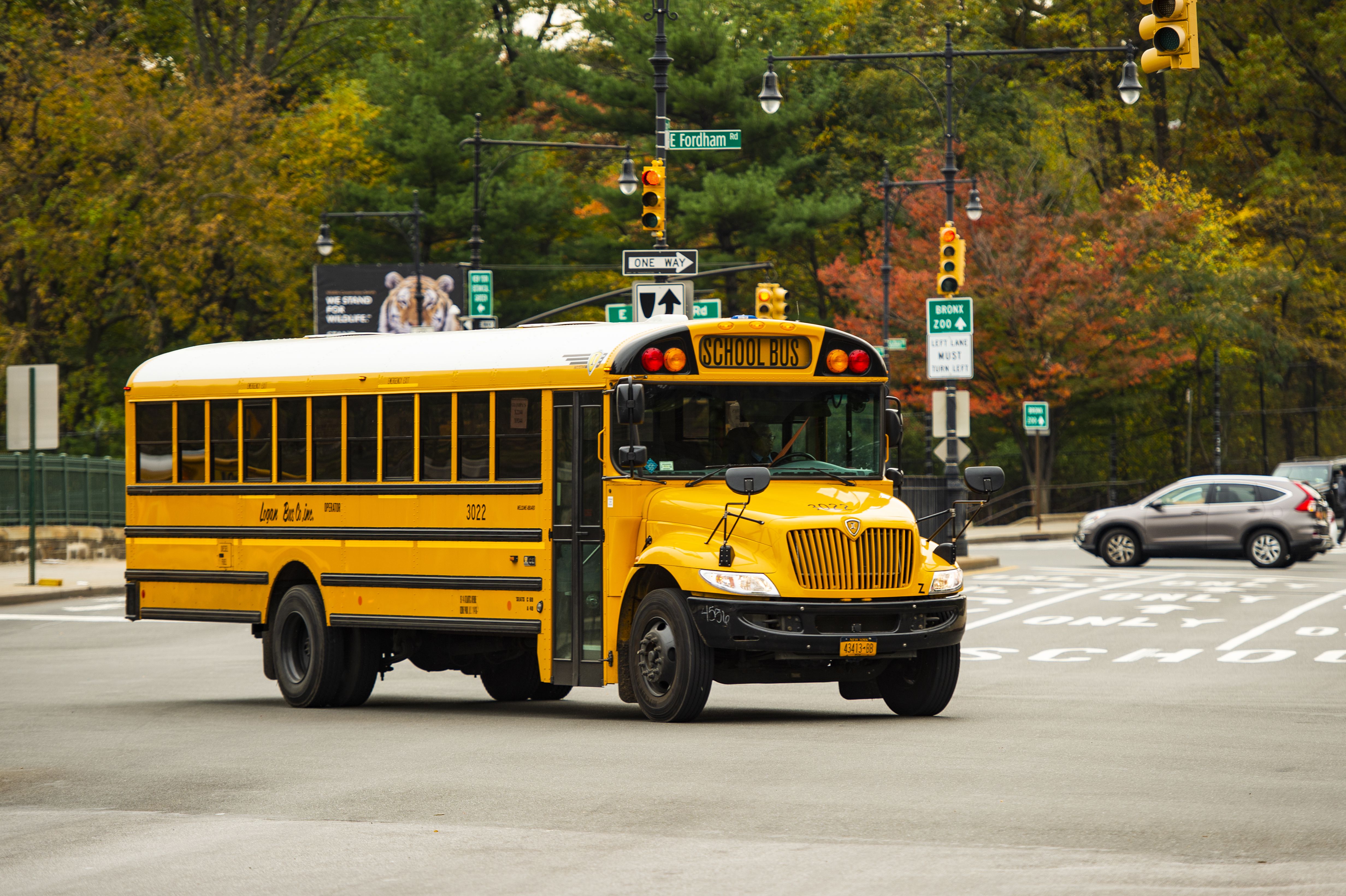 5 Ways Bus 118