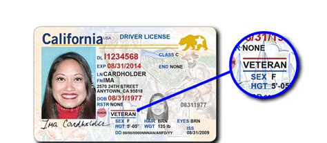 California Dmv Veteran Designation