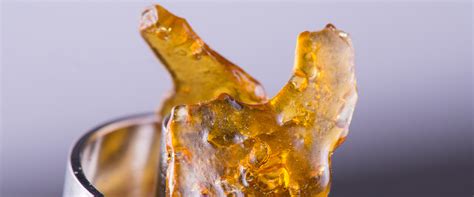 Cannabis Extract And How To Use It Medical Marijuana Inc Cannabis Extract And How To Use It Medical Marijuana Inc