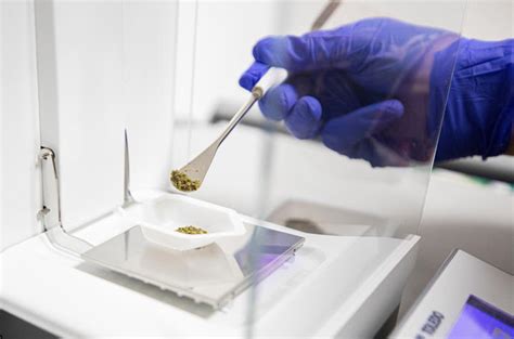 Cannabis Research Center Established At Uk Uk College Of Medicine Cannabis Research Center Established At Uk Uk College Of Medicine