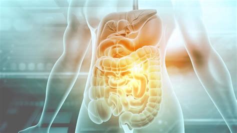 Capsule Captures First Look Inside Digestion In Healthy People Capsule Captures First Look Inside Digestion In Healthy People